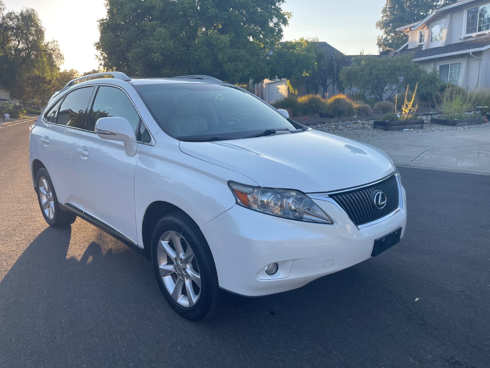 2010 Lexus RX, photo 2